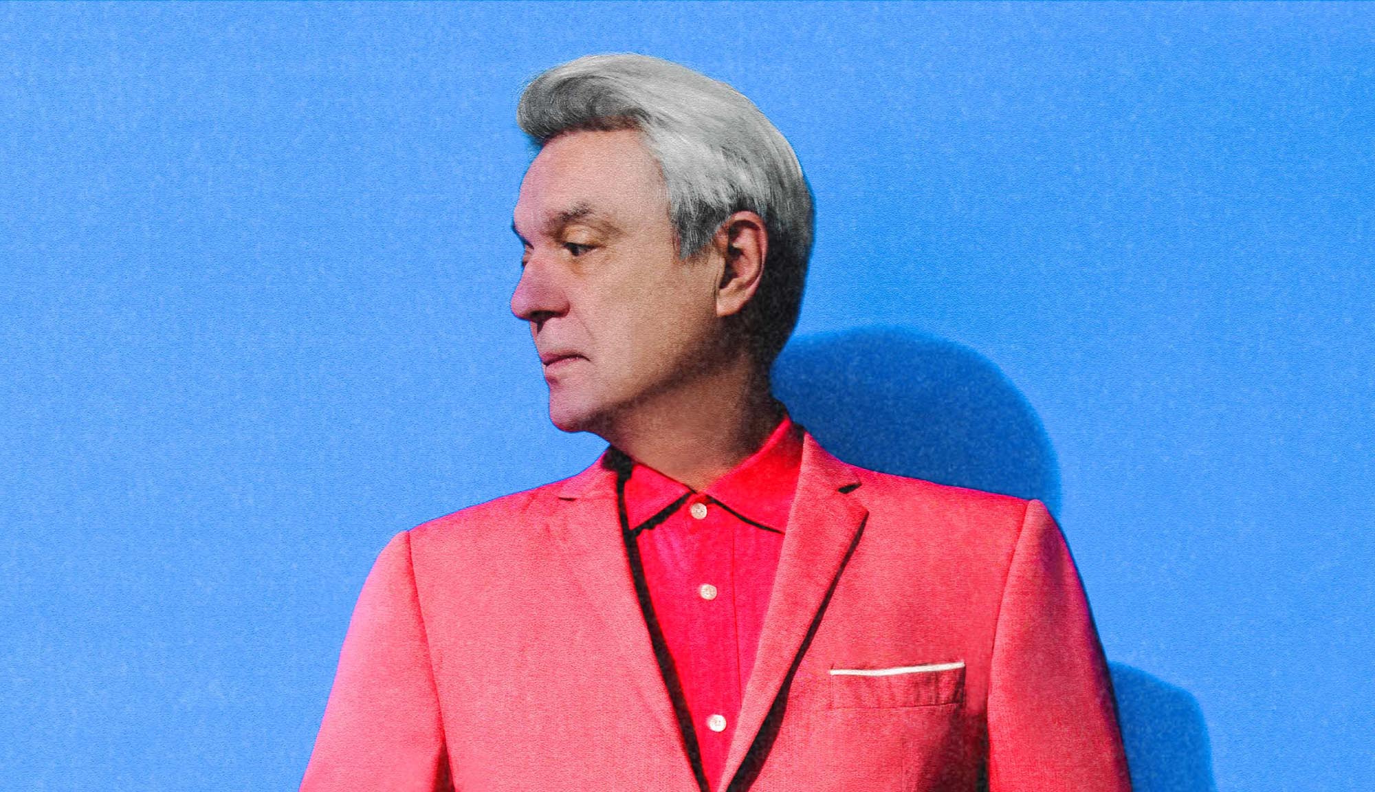 These are the Daves I know